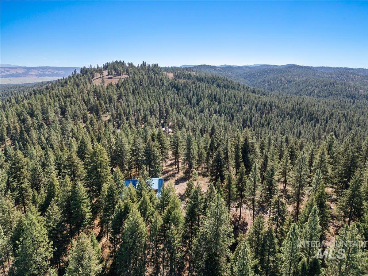 3725 Rim Road New Meadows, ID 83654 - Photo 46 of 50 Bird's eye view of a heavily wooded area and a mountain backdrop