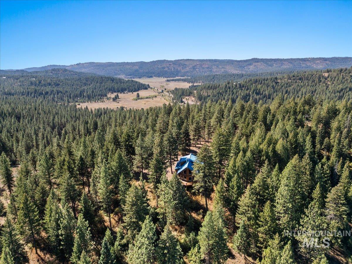3725 Rim Road New Meadows, ID 83654 - Photo 49 of 50 Bird's eye view of a forest and a mountain backdrop
