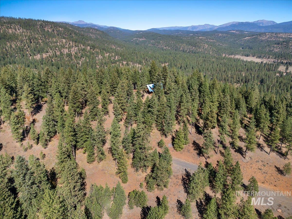3725 Rim Road New Meadows, ID 83654 - Photo 9 of 50 Bird's eye view of mountains and a heavily wooded area