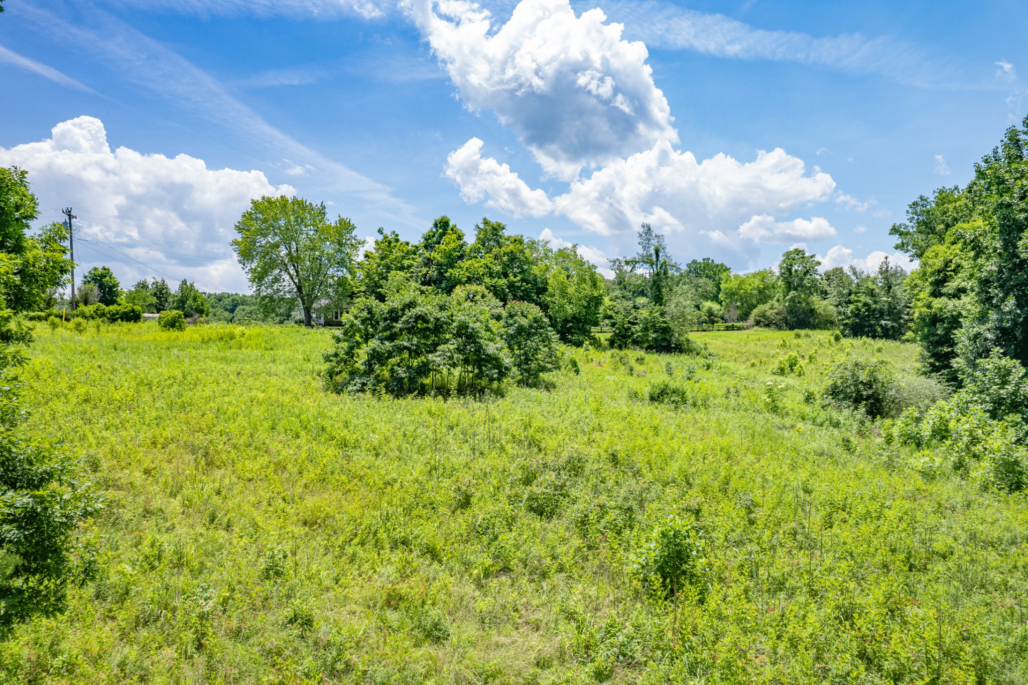 0 Mobley Ridge Road Duck River, TN 38454 - Photo 19 of 35 a view of a big yard with plants and large trees