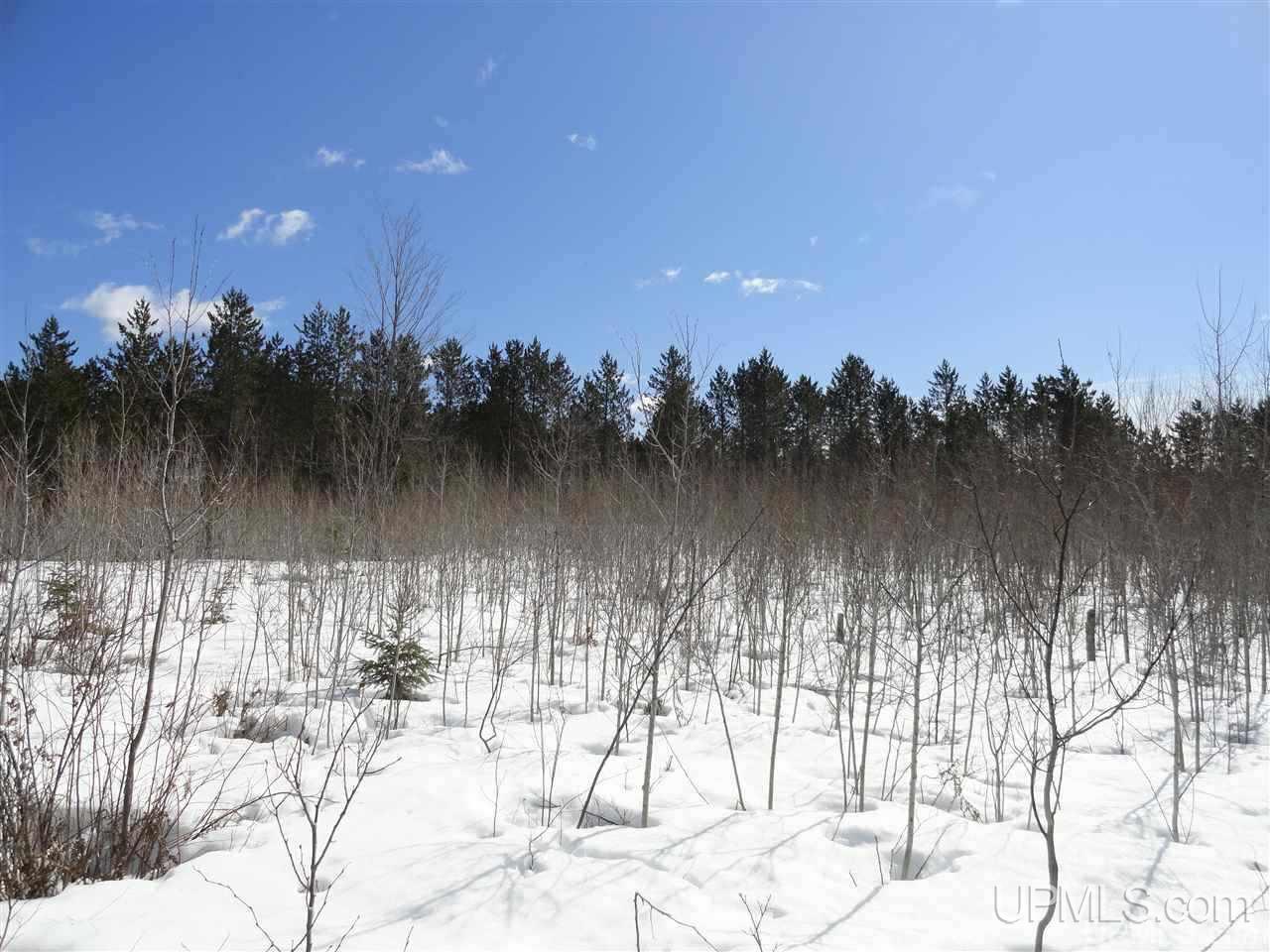 47-acres Chain Of Lakes Road Republic, MI 49879 - Photo 26 of 29