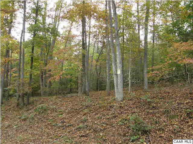 0 River Road Lovingston, VA 22949 - Photo 5 of 17 a view of a forest with trees