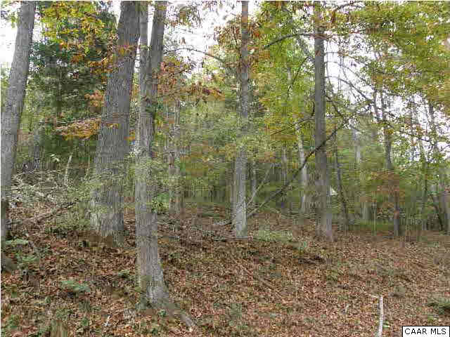 0 River Road Lovingston, VA 22949 - Photo 9 of 17 a view of a forest