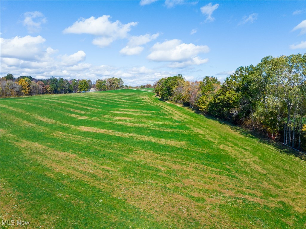 Emerick Road Kensington, OH 44427 - Photo 44 of 50 View of grassy yard