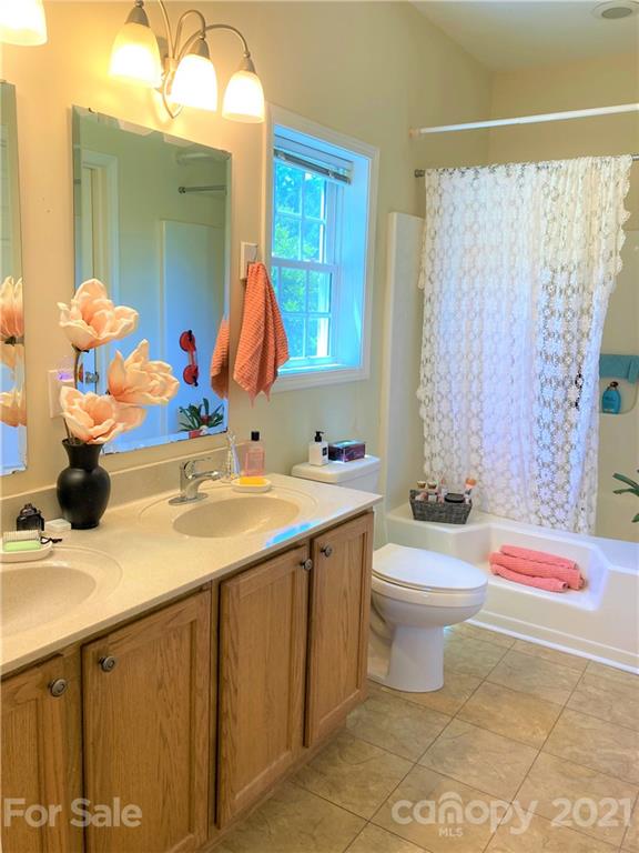 1821 Cove Road Rutherfordton, NC 28139 - Photo 23 of 46 a bathroom with a sink vanity mirror and toilet