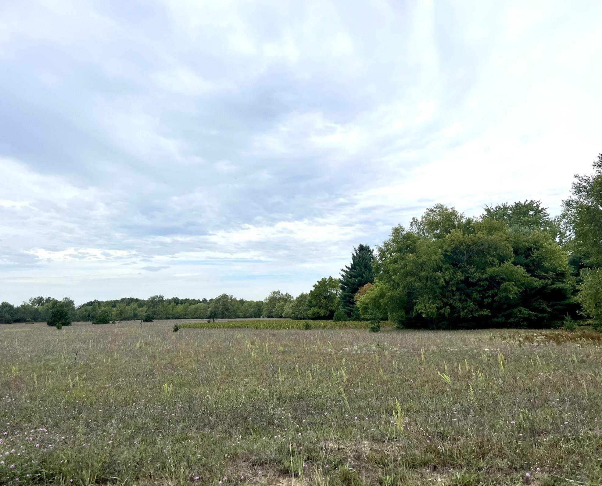 2 South Reynolds Road Interlochen, MI 49643 - Photo 14 of 20