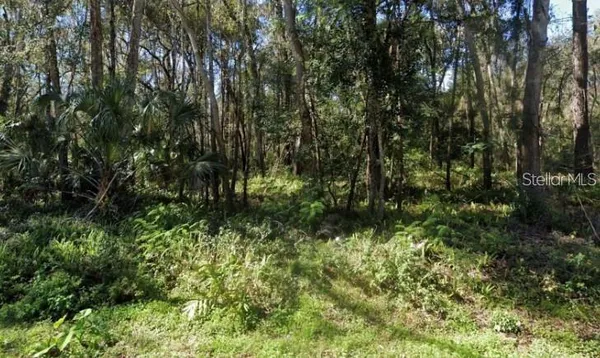 $59,990 | 0 Zoller Street, Brooksville, FL 34601