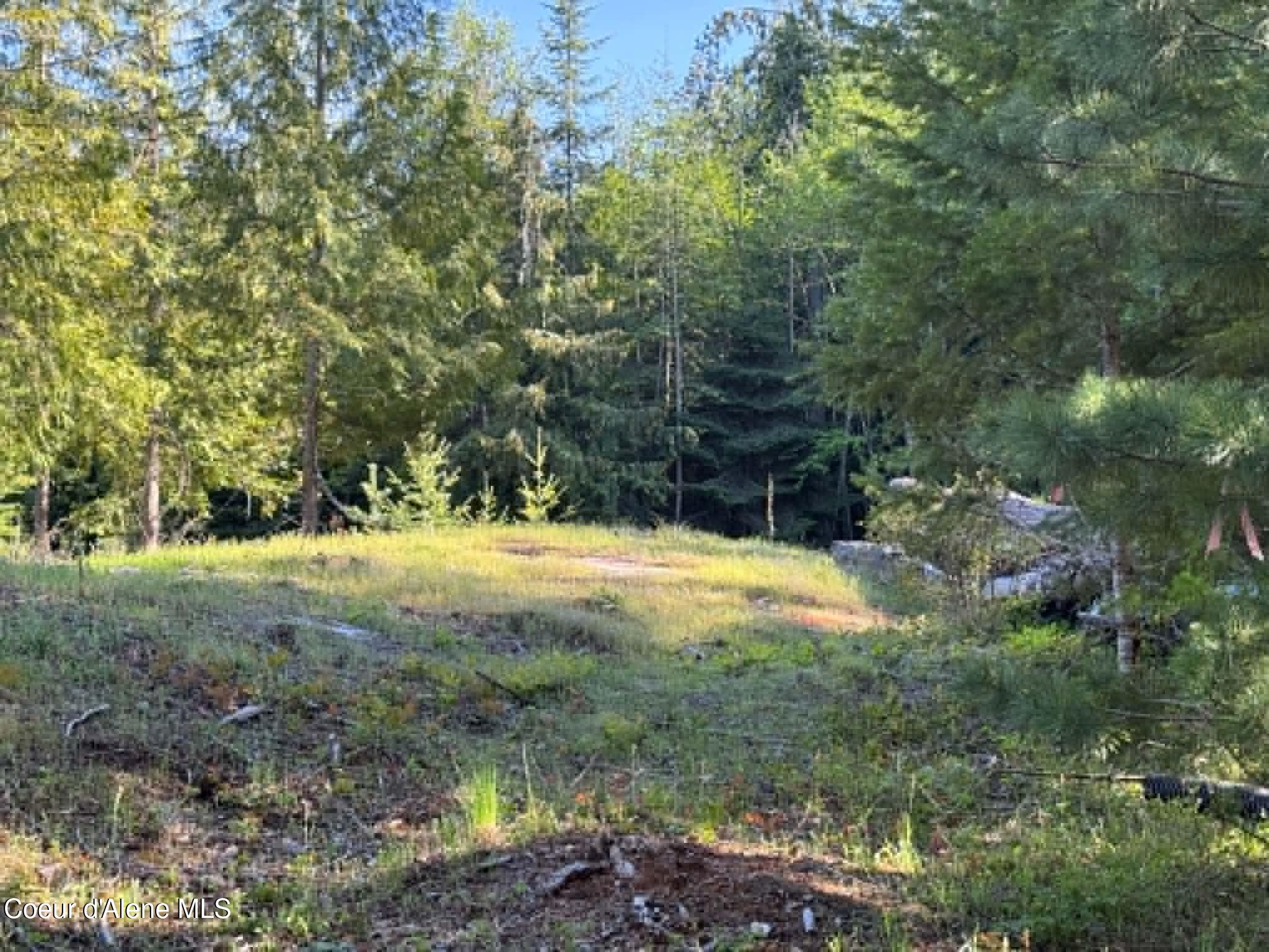 69 Shawnee Path Sagle, ID 83860 - Photo 67 of 69 ba170d8f-ca20-493c-9423-f169cb681c94