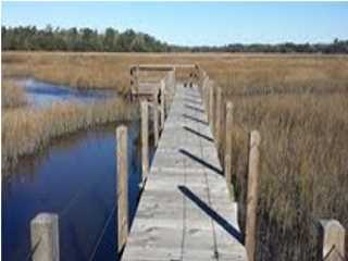6094 Jacob's Point Boulevard Ravenel, SC 29470 - Photo 2 of 6 Additional Photo