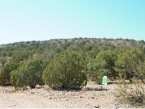 0 West Valley View Road Chino Valley, AZ 86323 - Photo 3 of 3 Additional Photo