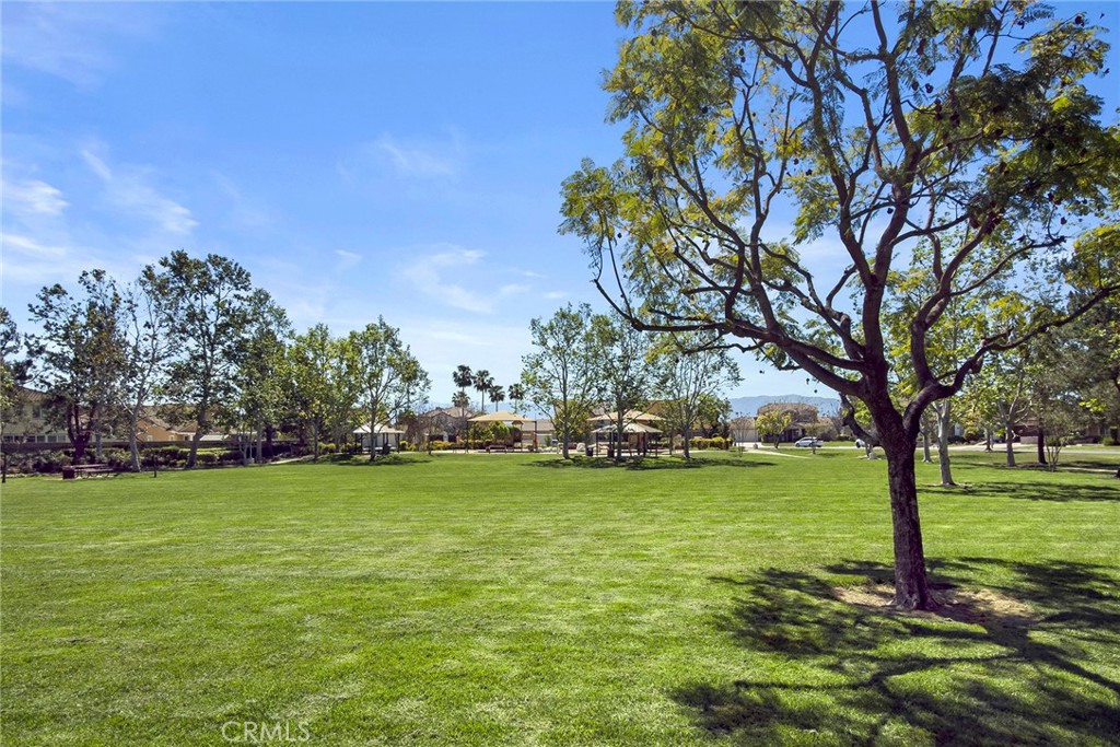 7357 Max Way Eastvale, CA 92880 - Photo 33 of 39 a view of a large trees with a big yard