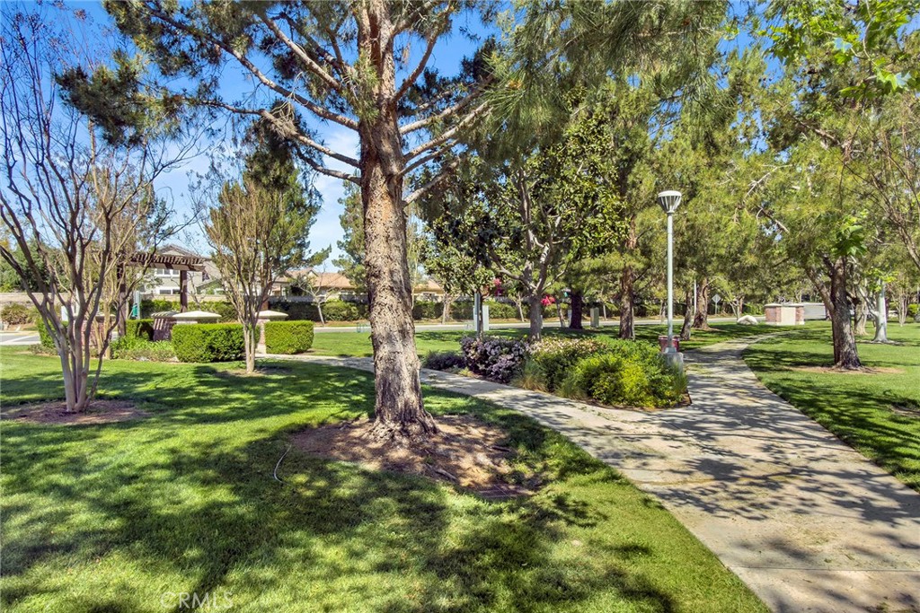 7357 Max Way Eastvale, CA 92880 - Photo 37 of 39 a view of a park with large trees
