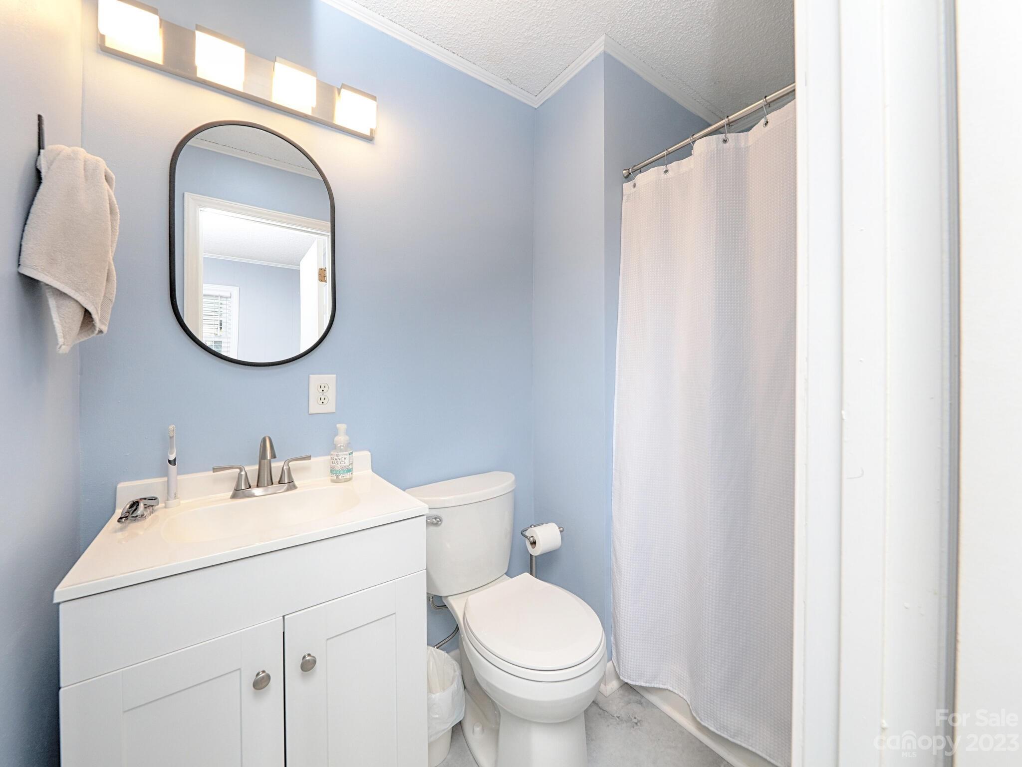 9902 Washam Potts Road Cornelius, NC 28031 - Photo 16 of 30