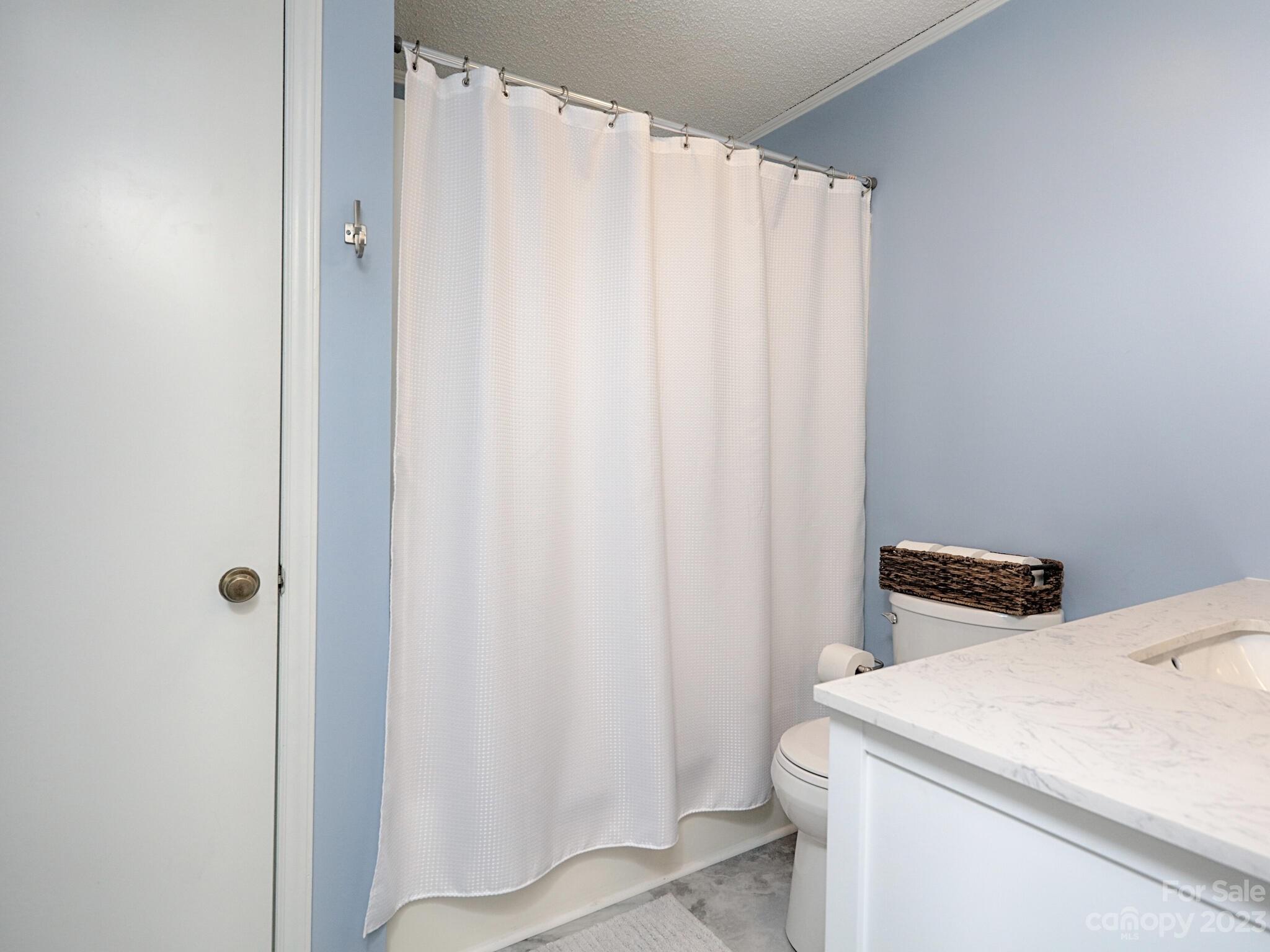 9902 Washam Potts Road Cornelius, NC 28031 - Photo 19 of 30