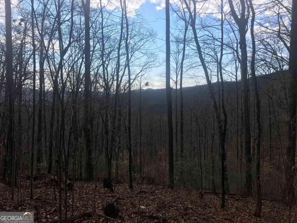 $80,000 | 0 Shadow Mountain Drive, Dillard, GA 30537