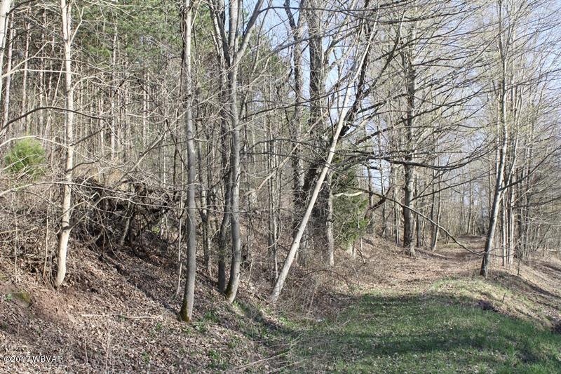 3268-lot A Blockhouse Road Liberty, PA 16930 - Photo 51 of 53 52