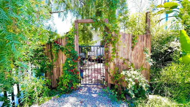 a view of a pathway with a flower garden