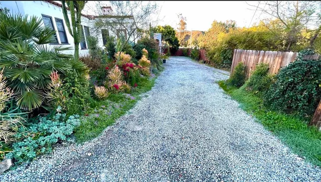 a view of a yard with plants and trees