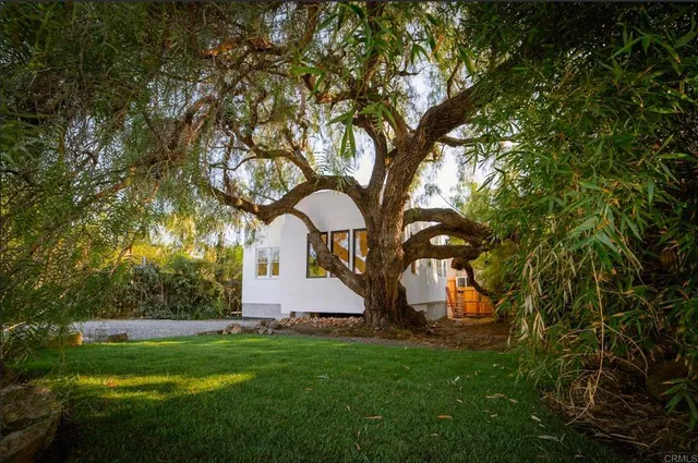 a view of a backyard with large trees