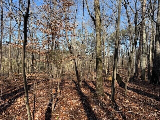 5 County Road 751 Valley Head, AL 35989 - Photo 13 of 17 a view of a forest with trees