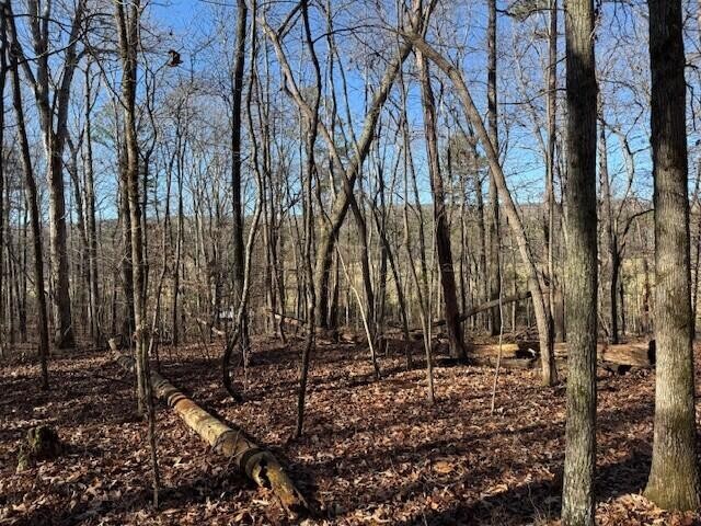 5 County Road 751 Valley Head, AL 35989 - Photo 14 of 17 a view of a backyard