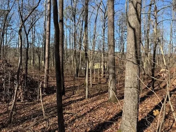 a view of a backyard of the house