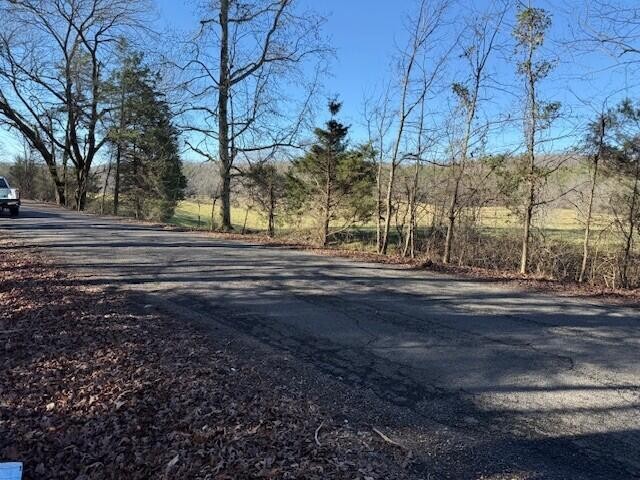 5 County Road 751 Valley Head, AL 35989 - Photo 16 of 17