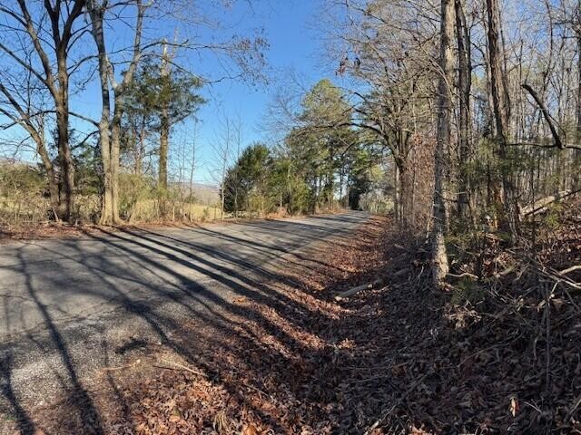 5 County Road 751 Valley Head, AL 35989 - Photo 17 of 17 a view of a yard with wooden fence