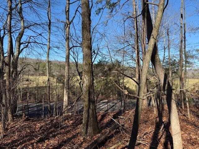 5 County Road 751 Valley Head, AL 35989 - Photo 2 of 17 a view of a yard