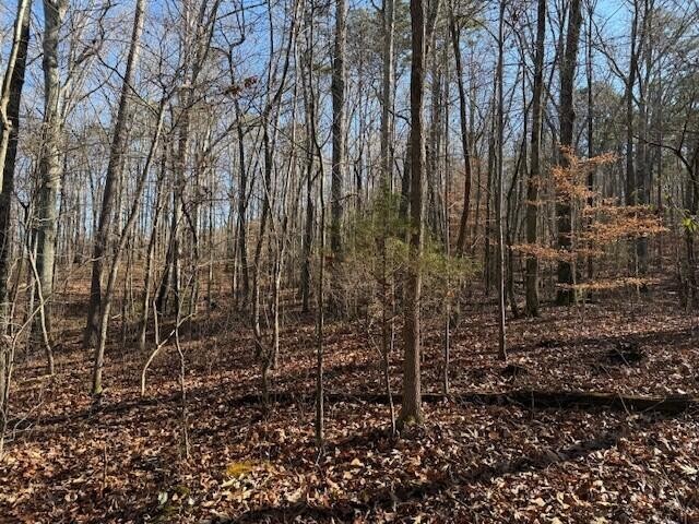 5 County Road 751 Valley Head, AL 35989 - Photo 4 of 17 a view of a yard with plants and trees