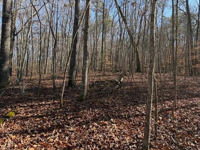 5 County Road 751 Valley Head, AL 35989 - Photo 7 of 17 a view of a backyard