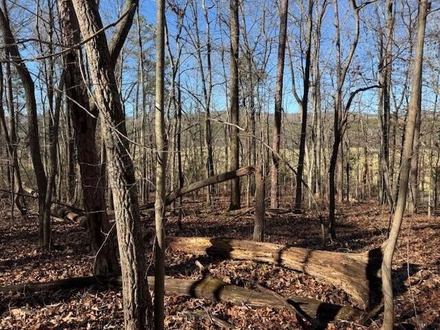 5 County Road 751 Valley Head, AL 35989 - Photo 10 of 17 a view of a yard with wooden fence