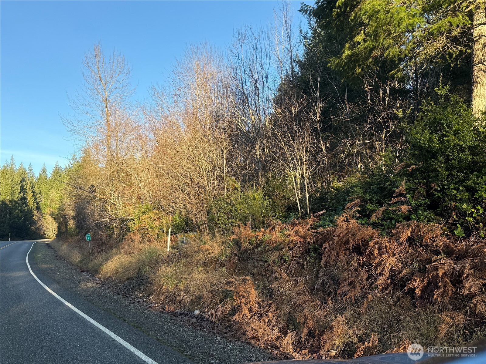 2-lot East 2-lot E Rasor (& Trails Belfair, WA 98528 - Photo 3 of 5 a view of a street view