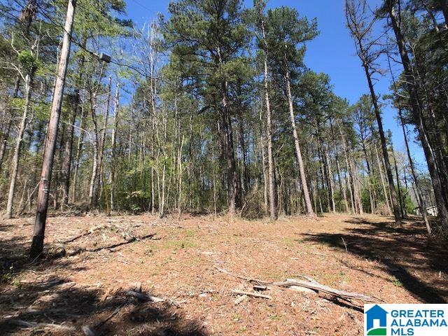 O Ridge Road, Unit 10 ACRES Odenville, AL 35120 - Photo 1 of 18 Gallery Image 1