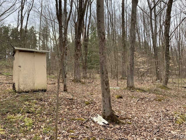 0 Russell Hill Road Caneadea, NY 14717 - Photo 1 of 1 Gallery Image 1