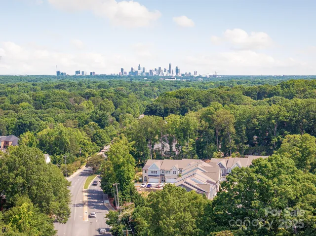 a view of a city with lush green forest