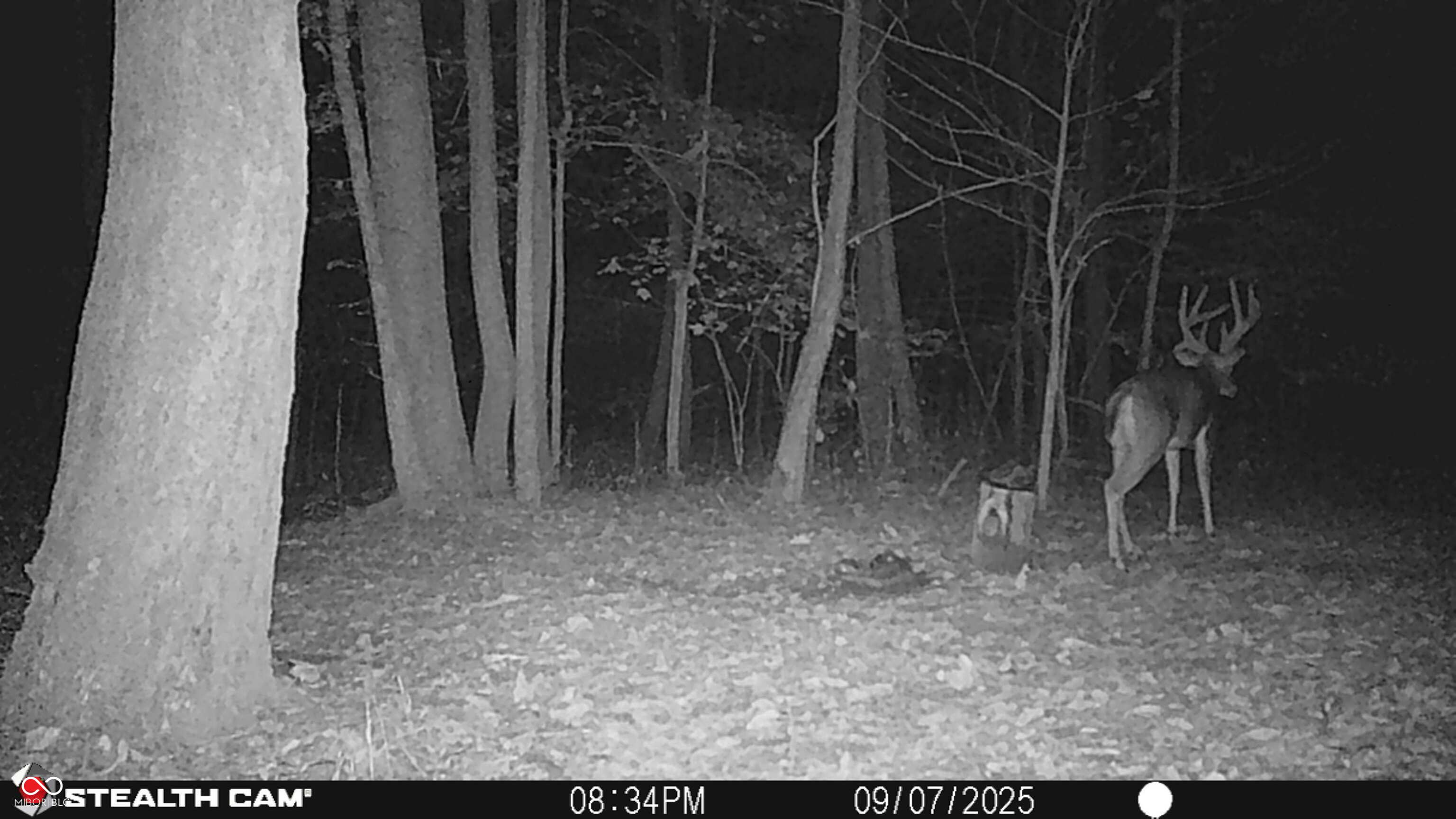2933 Saluda Hl Road Hanover, IN 47243 - Photo 90 of 122