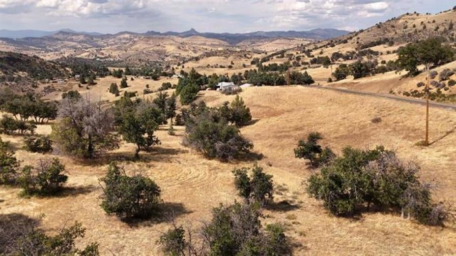 Lot 23 Whitepine Road Hornbrook, CA 96044 - Photo 8 of 8 Gallery Image 8