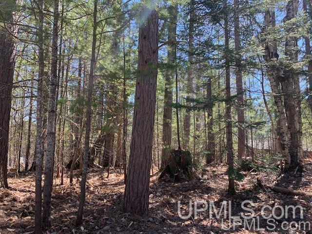 Lot 5 West Lost Lake Road Wetmore, MI 49862 - Photo 2 of 12