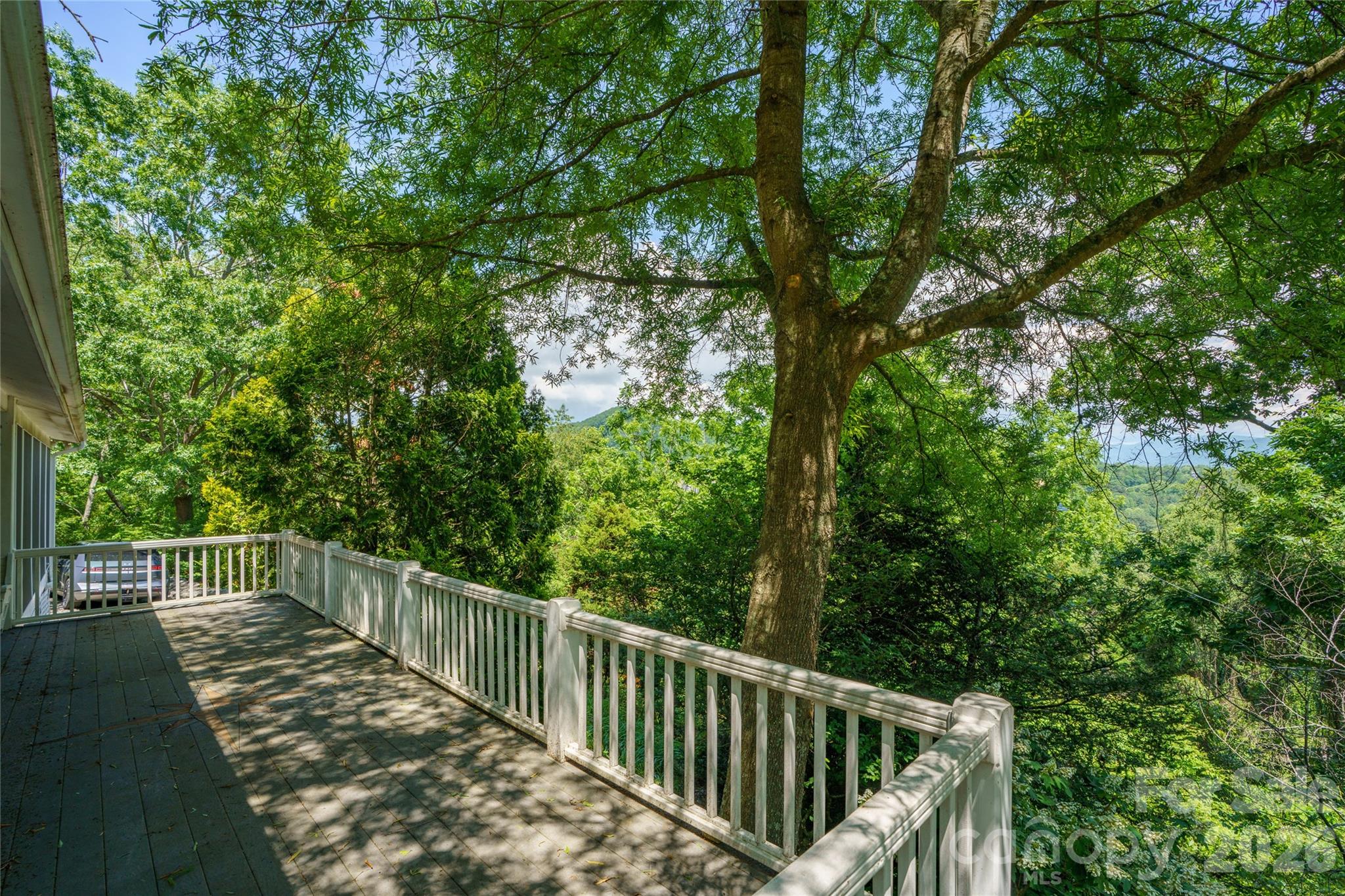 32 Delano Road Asheville, NC 28805 - Photo 37 of 47