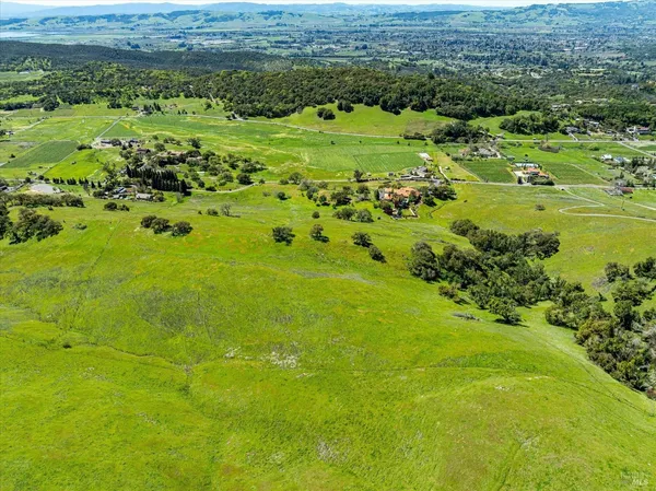 a view of a lush green space
