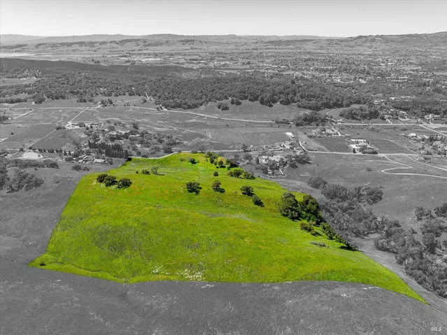 a view of a big yard with large trees