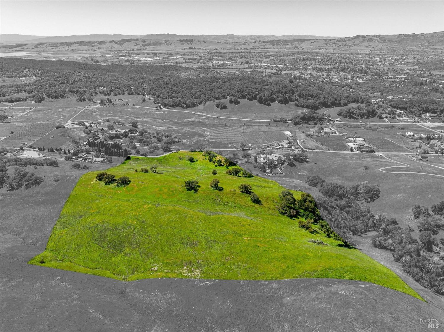 4500 Lovall Valley Loop Road Sonoma, CA 95476 - Photo 4 of 17 a view of a big yard with large trees