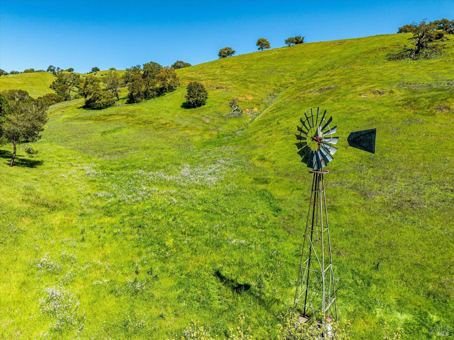 4500 Lovall Valley Loop Road Sonoma, CA 95476 - Photo 7 of 17 a view of a big yard with an trees