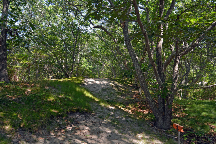 5-106 Lighthouse Road Aquinnah, MA 02535 - Photo 3 of 7 Gallery Image 3