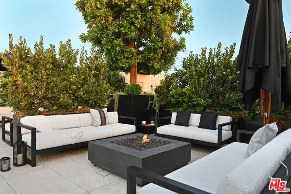 a view of a patio with couches and a potted plant on a table