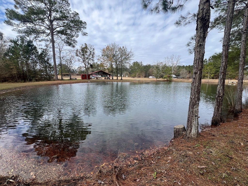 900 Benton Road Ochlocknee, GA 31773 - Photo 15 of 33 Gallery Image 15
