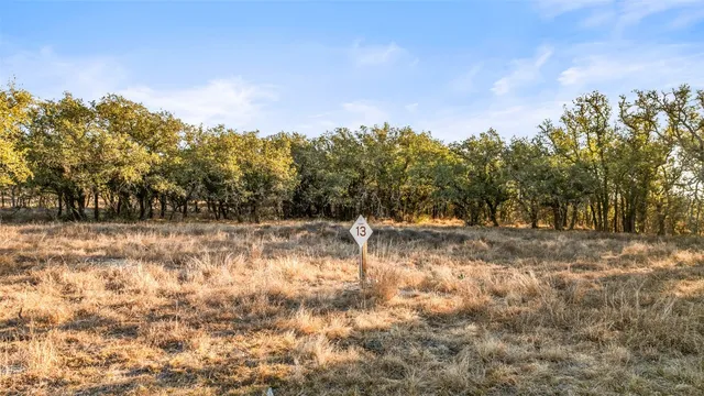 a view of yard with trees