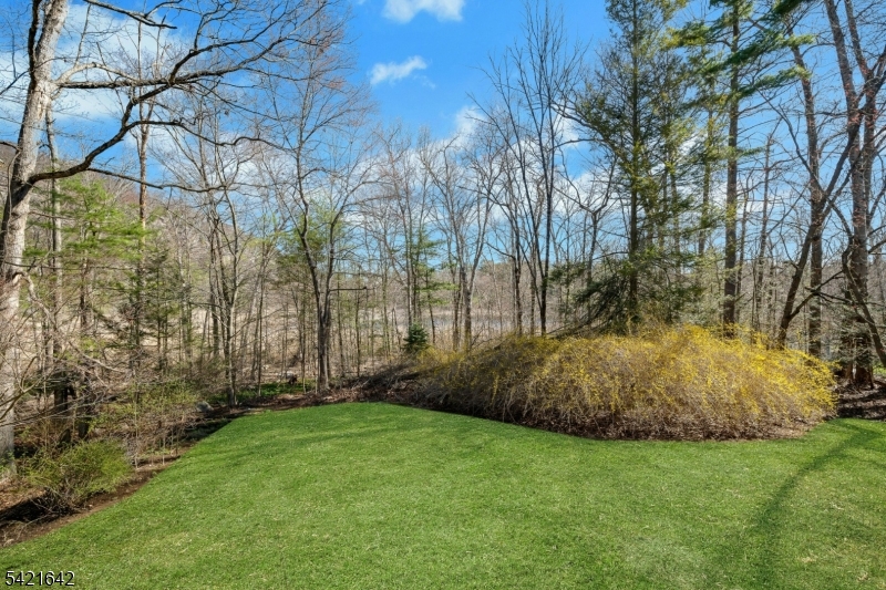 24 Deerhaven Lane Oak Ridge, NJ 07438 - Photo 29 of 31