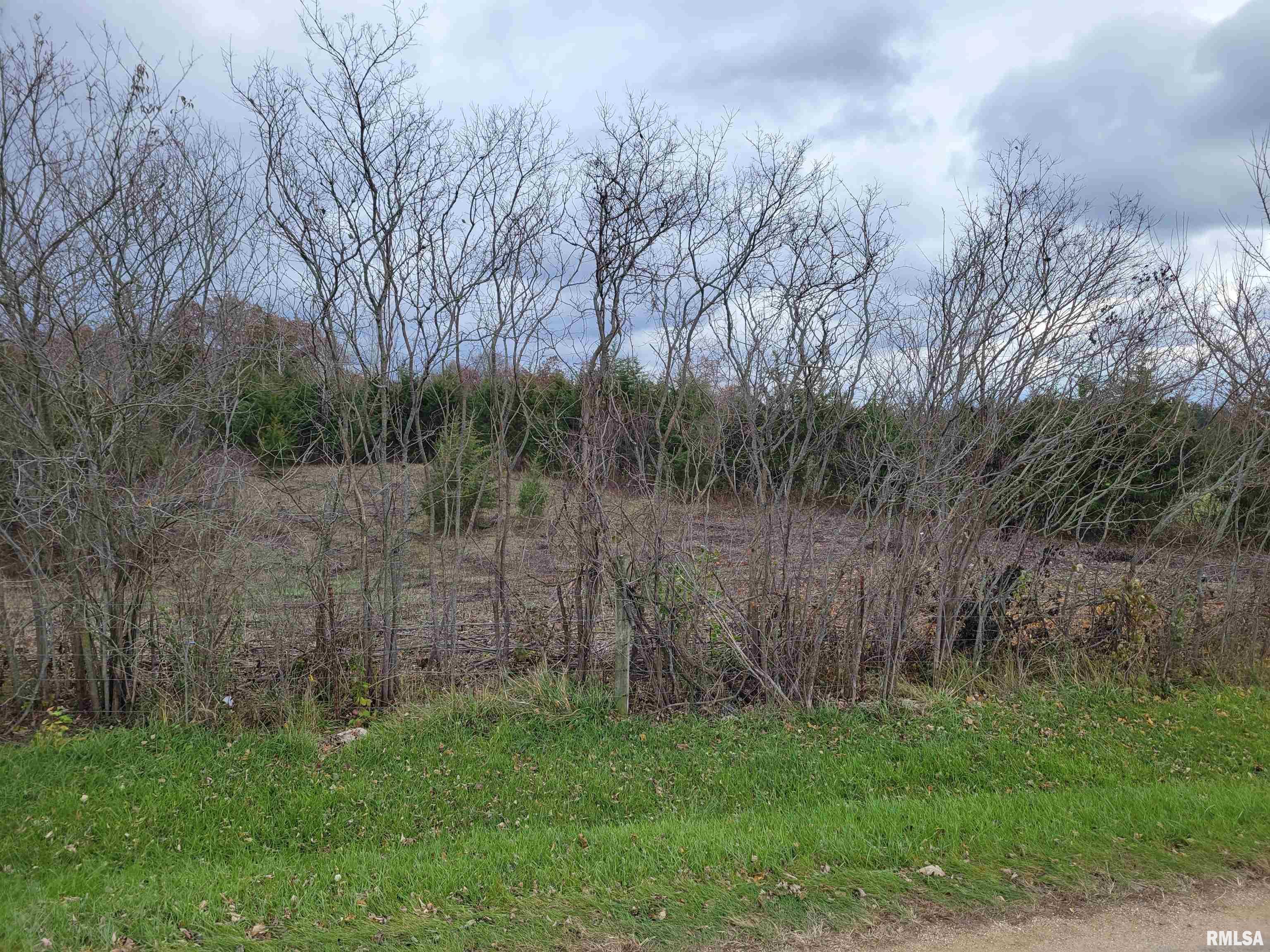 9685 South Crazy Hollow Road Hanover, IL 61041 - Photo 8 of 15 Gallery Image 8